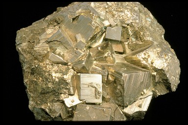 Gold or Fool's Gold? There are two easy ways to tell Fool's Gold, the
  <a
  href="/earth/geology/min_intro.html&edu=high&dev=">mineral</a>
  <a
  href="/earth/geology/min_pyrite.html&edu=high&dev=">pyrite</a>,
  from real gold. First, pyrite leaves a black streak on a white tile whereas
  gold leaves, well, a gold streak. Also, pyrite is much harder than gold.
  Pyrite is made up of the <a
  href="/earth/geology/periodic_table.html&edu=high&dev=">elements</a>
  iron (Fe) and sulfur (S). Both of these two elements are among the <a
  href="/earth/geology/crust_elements.html&edu=high&dev=">eight
  most abundant</a> in the <a
  href="/earth/interior/earths_crust.html&edu=high&dev=">Earth's
  crust</a>.<p><small><em> Courtesy of Corel</em></small></p>