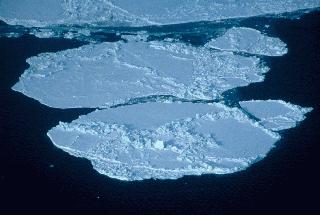 The production of sea ice is also important to the layering of water in the Arctic Ocean. As <a href="/earth/polar/sea_ice.html&edu=high&dev=">sea ice</a> is made near the Bering Strait, salt is released into the remaining non-frozen water. This non-frozen water becomes very salty and very dense and so it sinks below the cold, relatively fresh Arctic water, forming a layer known as the <a href="/earth/Water/salinity_depth.html&edu=high&dev=">Halocline</a>. The Halocline layer acts as a buffer between sea ice and the warm, salty waters that have come in from the Atlantic.<p><small><em>   NASA</em></small></p>