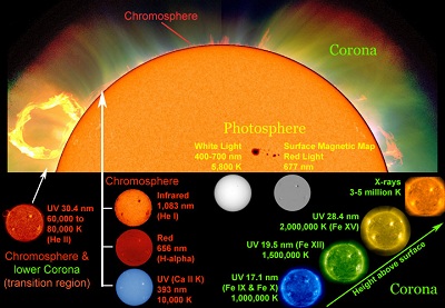 Astronomers use different wavelengths of light and other <a href="/physical_science/magnetism/em_radiation.html&edu=elem">electromagnetic emissions</a> as <a href="/sun/spectrum/multispectral_sun.html&edu=elem">"windows" into different regions of the Sun</a>. White light with a <a href="/physical_science/basic_tools/wavelength.html&edu=elem">wavelength</a> between 400 and 700 nanometers (nm) shows the <a href="/sun/atmosphere/photosphere.html&edu=elem">photosphere</a>, the visible "surface" of the Sun. Other wavelengths highlight different features of the Sun, such as its <a href="/sun/sun_magnetic_field.html&edu=elem">magnetic field</a>, the <a href="/sun/atmosphere/chromosphere.html&edu=elem">chromosphere</a> and the <a href="http://www.windows2universe.org/sun/atmosphere/corona.html">corona</a>.<p><small><em>Composite image courtesy of Windows to the Universe using images from SOHO (NASA and ESA), NCAR/HAO/MLSO, Big Bear Solar Observatory, and SDO/AIA.</em></small></p>